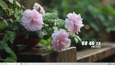 护眼绿景花草树木主题