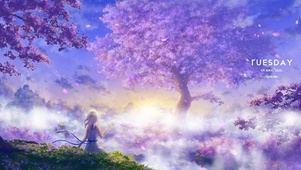 4K 雾海，花海（带真实时间）