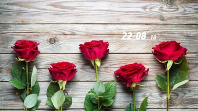 4k高清简约花卉桌面