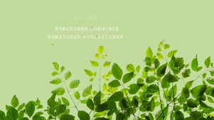 4k治愈绿壁纸