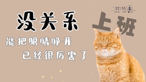 猫咪打工人桌面