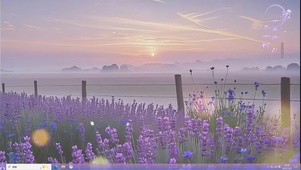落日下的薰衣草田