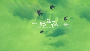 一路生花 治愈