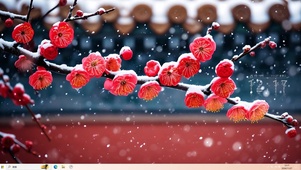踏雪寻梅