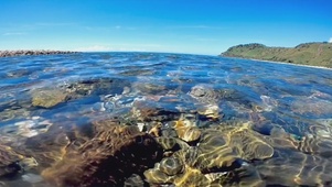 海底世界