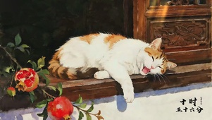 慵懒小猫晒太阳