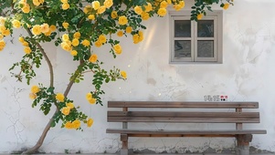 蔷薇花树下长椅