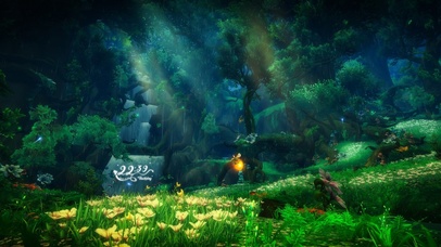 护眼田野（带鱼屏）