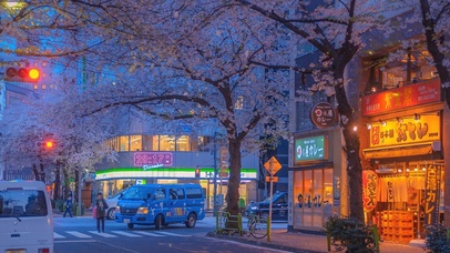 唯美治愈樱花街道（带真实时间）