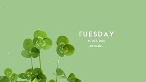 简约小清新护眼桌面