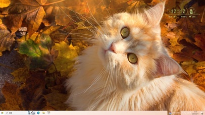 唯美落叶哈基米