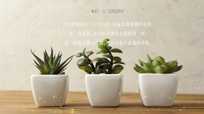 简约系ins绿植壁纸