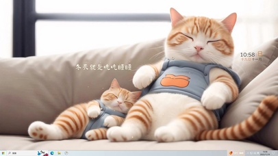 可爱懒散的猫咪