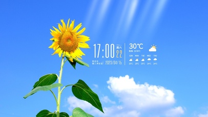 4k治愈阳光向日葵风景