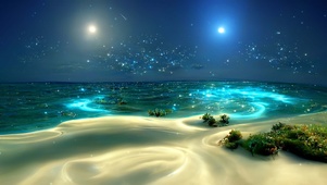 沙滩夜空海