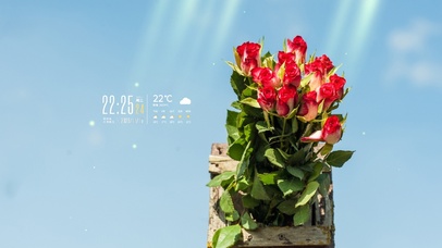 4k清新阳光花朵桌面