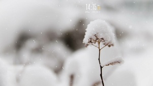 冬日浪漫雪花