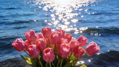 清新明亮郁金香桌面