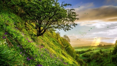 治愈夕阳山腰景色