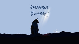 猫 治愈文字