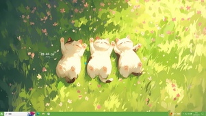 4K超级猫咪小可爱主题
