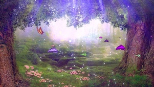梦幻森林元素