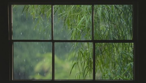 窗外雨景