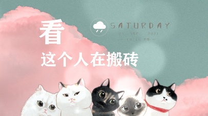 猫咪看你搬砖（系列2）