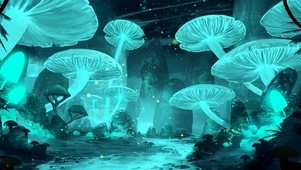 静谧 蘑菇林