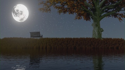 静谧夜晚的一轮明月