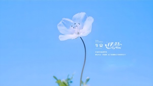 蓝天下小花（小清新）