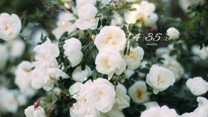 4k高清简约治愈系列