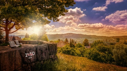 夕阳下的乡村树下