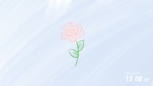 粉色玫瑰花