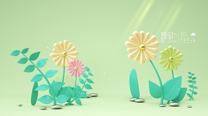 4k 简约治愈小清新植物花朵