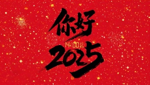 你好2025