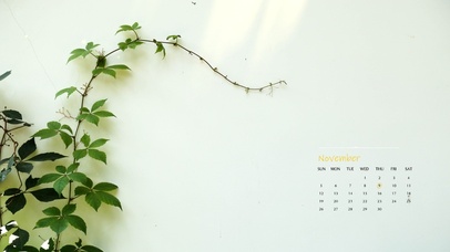 治愈阳光简约绿植桌面