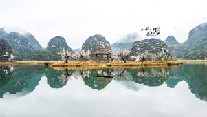 4k 唯美仙境十里桃园