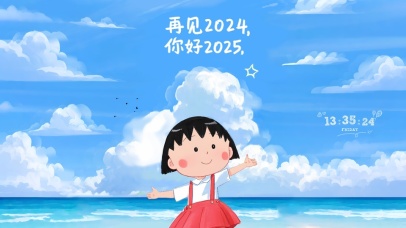 再见2024 