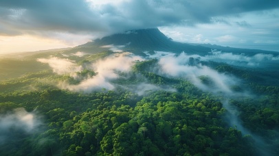 俯瞰火山岛森林
