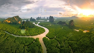 森林河流