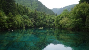 林中湖
