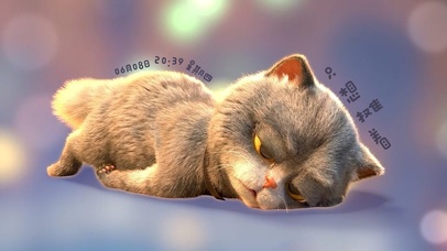 斑布猫-只想摊着