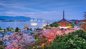唯美江边樱花