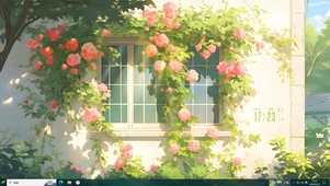 4K窗台蔷薇花