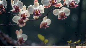 鸢尾花