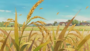 秋天乡村稻田
