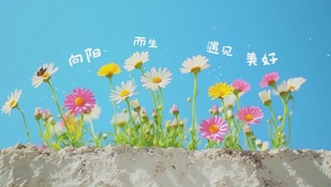 向阳