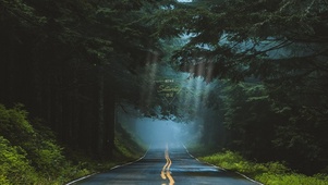 清晨的小路
