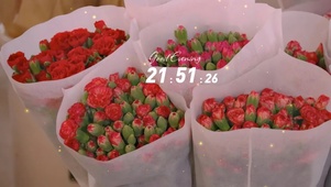 4k高清ins风格系列